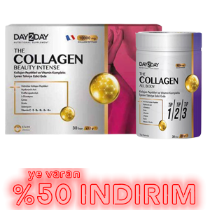 day2day.png (86 KB)