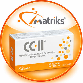 Matriks