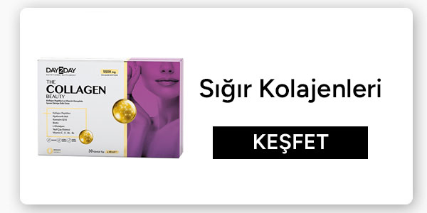 Sığır Kolajeni