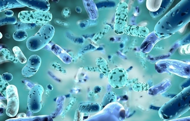 Bacillus Clausii