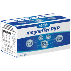 magnefer.png (87 KB)
