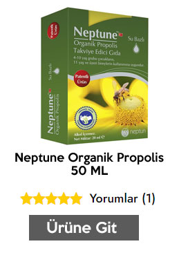Wellcare Immune Şurup 150 ML