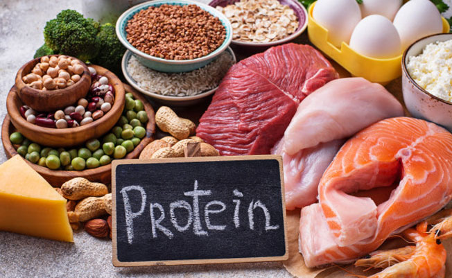 Protein