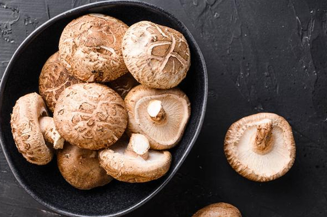 Shiitake Mantarı