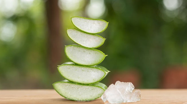 Aloe Vera