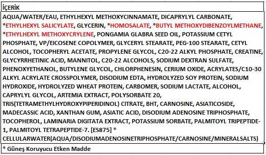 Institut Esthederm Into Repair 50 ML.jpg (43 KB)