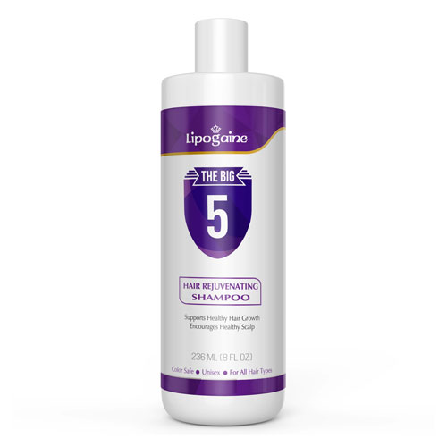 Lipogaine Big 5 All Natural Shampoo