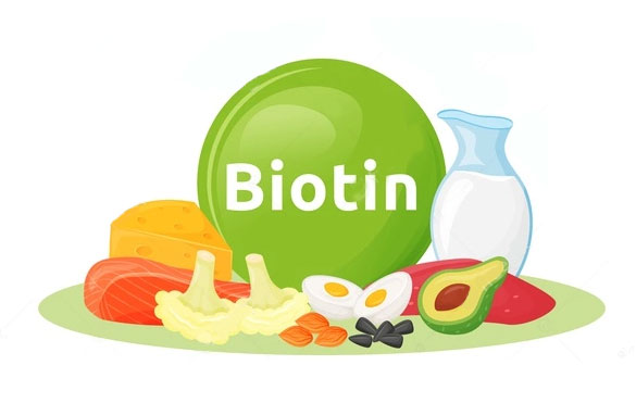 biotin.jpg (26 KB)