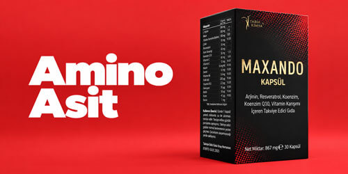 Amino Asit