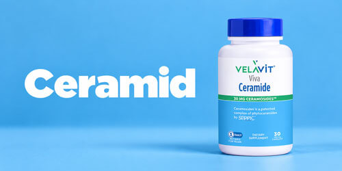 Ceramid