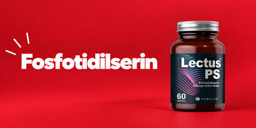 Fosfotidilserin