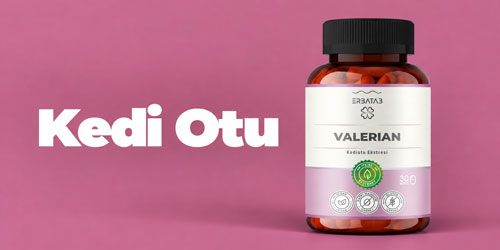 Kedi Otu