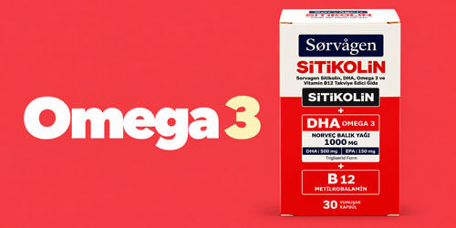 Omega 3