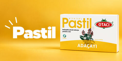 Pastil