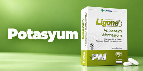 Potasyum