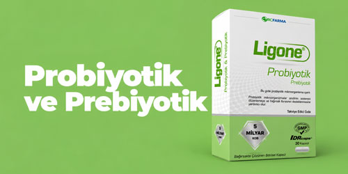 Probiyotik