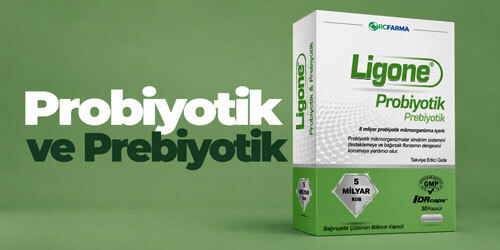Probiyotik