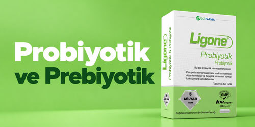 Probiyotik