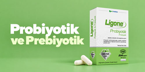 Probiyotik