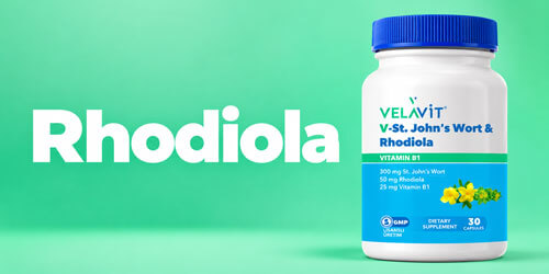 Rhodiola