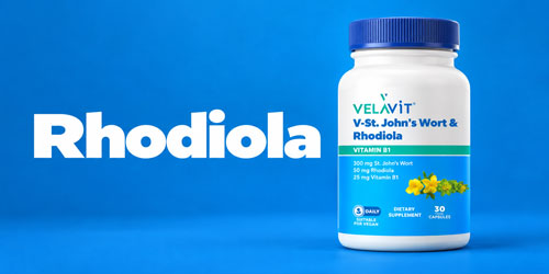 Rhodiola