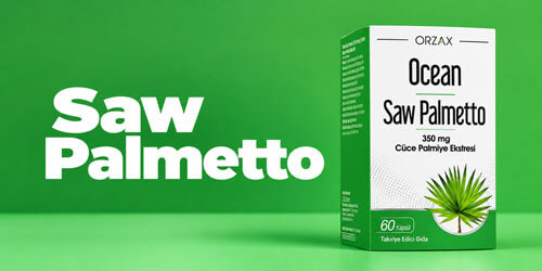 Saw Palmetto