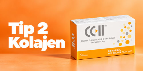 Tip 2 Kolajen