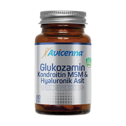 Avicenna Glukozamin Kondroitin MSM Hyaluronik Asit 90 Tablet - Avicenna