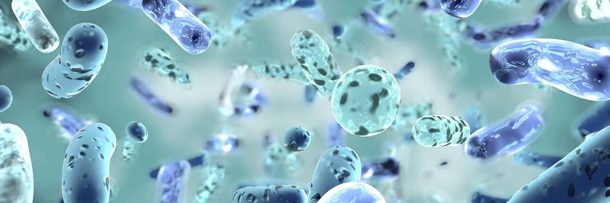 Bacillus Clausii Nedir? Faydaları Nelerdir?