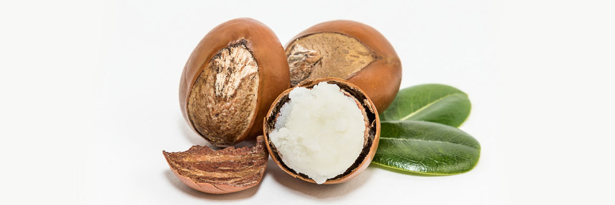 Shea Butter Nedir? Faydaları Nelerdir?