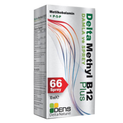 Delta Naturel Methyl B12 Plus Methylcobalamin Sprey 10 ml - Delta Naturel