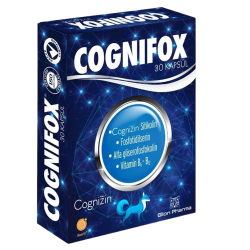 Glion Pharma Cognifox 30 Kapsül - Glion