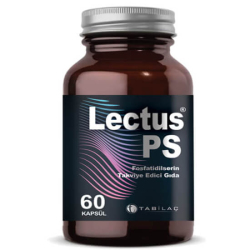 Lectus