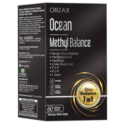 Ocean Methyl Balance