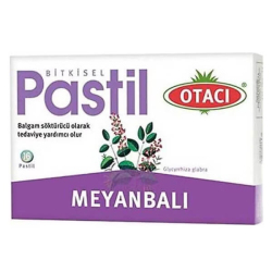 Otacı Meyanbalı Pastil 16 Adet