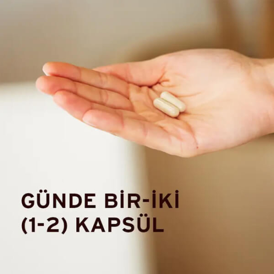 Solgar Ester C Plus 500 mg 100 tablet C vitamini, turunçgil bioflavonoid 25 mg, kuşburnu 10 mg, rutin 5 mg- 3