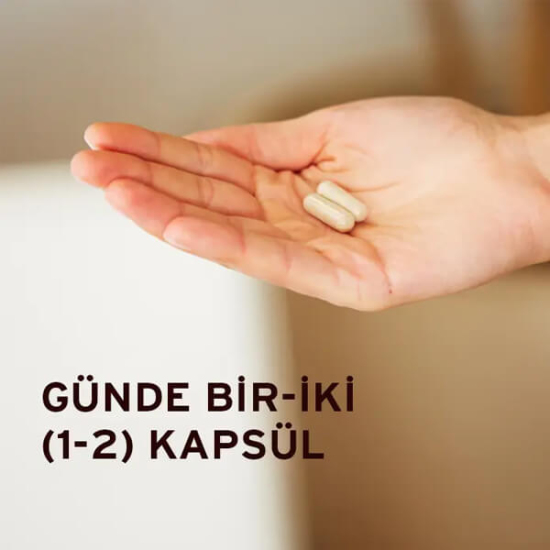 Solgar Ester C Plus 500 mg 50 kapsül C vitamini Ester-C kalsiyum L-askorbat bioflavonoid kuşburnu aserola rutin- 3