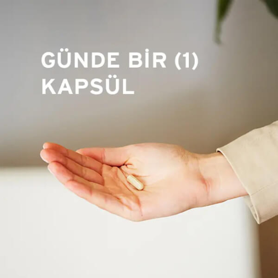 Solgar Gentle Iron 17 mg 90 bitkisel kapsül demir takviyesi ferroz bisglisinat içerir vegan uyumlu şişe- 3