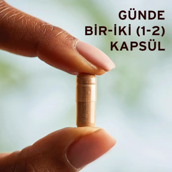 Solgar Green Tea Leaf Extract 60 kapsül bitkisel takviye, 400 mg standartize yeşil çay ekstresi, 100 mg yaprak tozu- 3