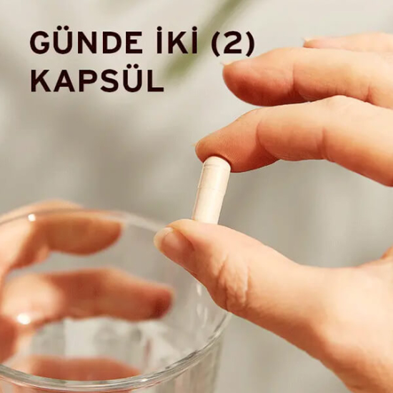 Solgar Psyllium Husks Fibre 200 kapsül vegan lif takviyesi her kapsülde 500 mg karnıyarık otu lifi Plantago ovata- 3