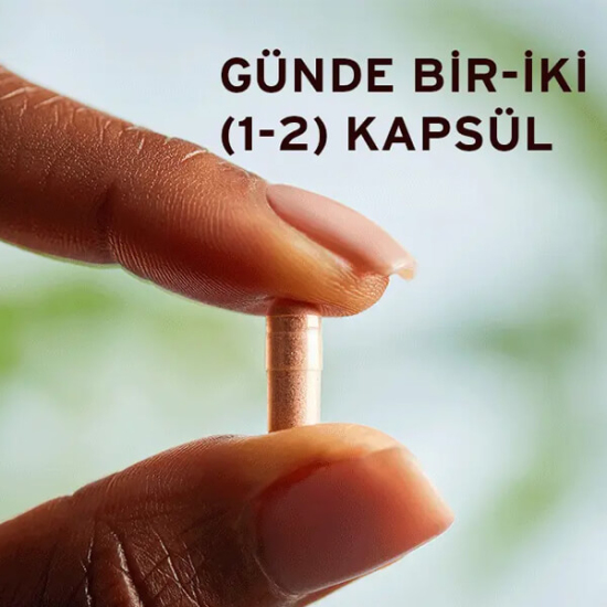  Solgar Pycnogenol 30 mg 30 Kapsül - 2
