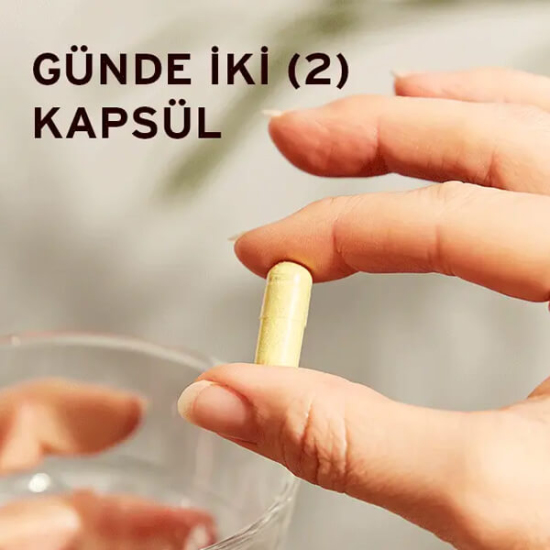 Solgar Quercetin Complex Ester-C Plus 50 kapsül vegan; 500 mg C vitamini, 500 mg kuersetin, 50 mg bromelain- 3