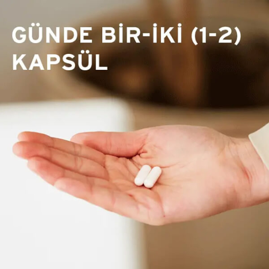 Solgar Resveratrol 60 kapsül 200 mg vegan bitkisel takviye Polygonum cuspidatum kök resveratrol şişe ürün görseli- 3