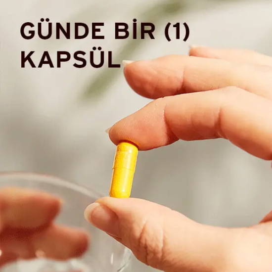  Solgar Turmeric Extract 60 Bitkisel Kapsül - 3