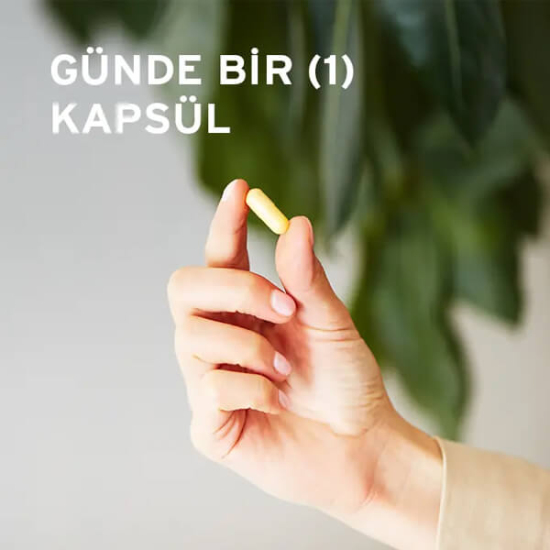 Solgar Vitamin B Komplex 50 100 tablet; B1 B2 B3 B5 B6 B12 folik asit biotin kolin inositol içerir- 3