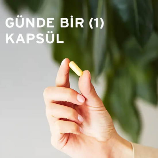 Solgar Vitamin B Komplex 50 50 tablet vegan takviye B1 B2 B3 B5 B6 B12 folik asit biotin kolin inositol- 3