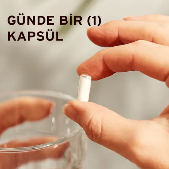 Solgar Zinc Picolinate 15 mg 100 bitkisel kapsül çinko pikolinat takviyesi vegan şeker tuz nişasta içermez- 3