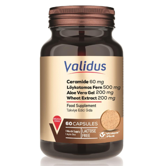 Validus Ceramide 60 mg + Löykotomos Fern 500 mg + Aloe Vera Gel 200 mg + Wheat Extract 200 mg 60 Kapsül