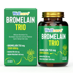 Wellcare Bromelain Trio 60 Tablet - Wellcare
