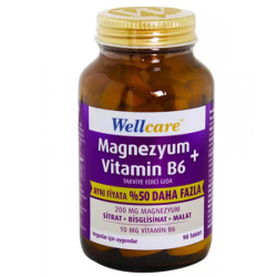 Wellcare Magnezyum B6 Vitamini 90 Tablet - Wellcare